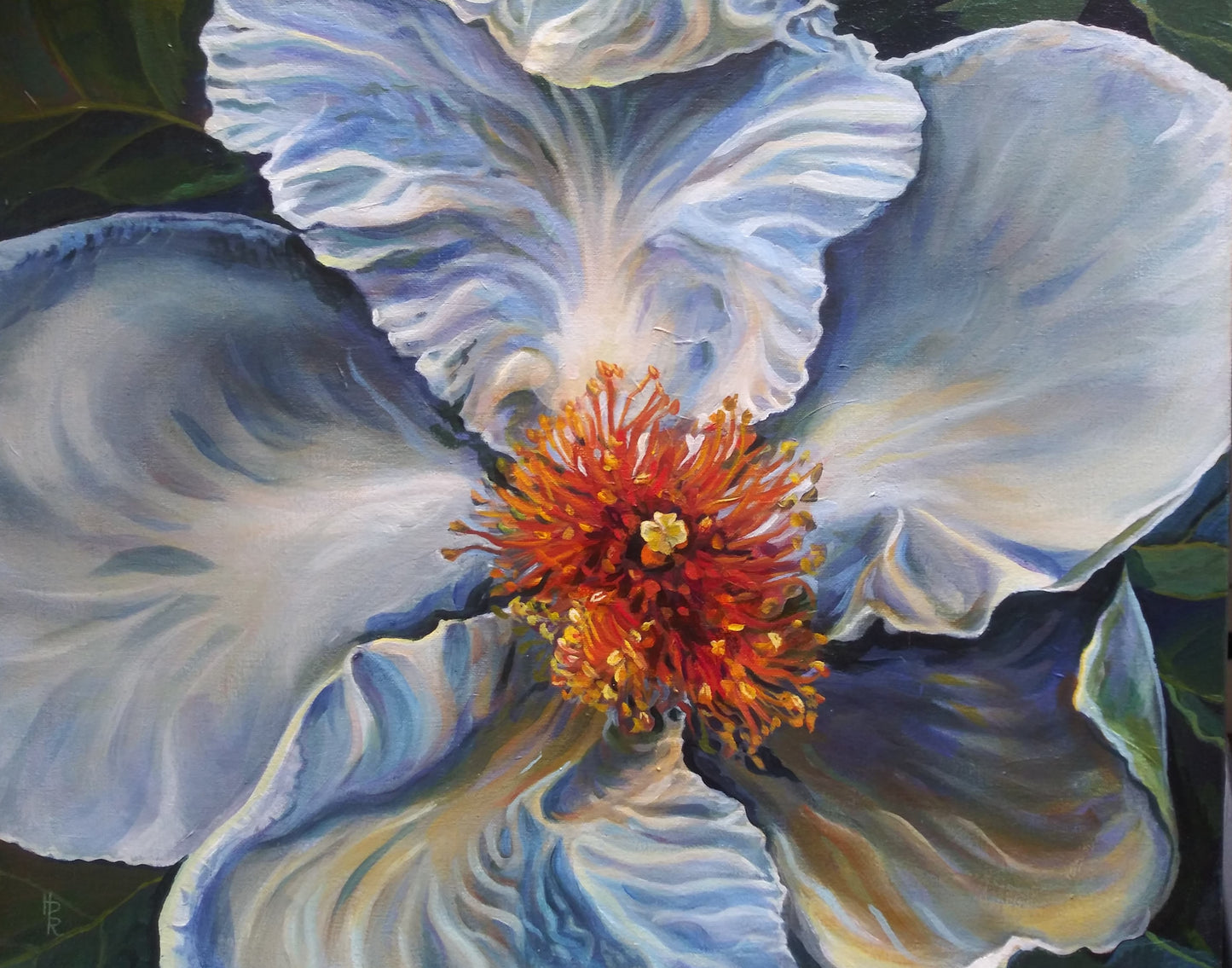 Prints from Heather Diacont Rinehart