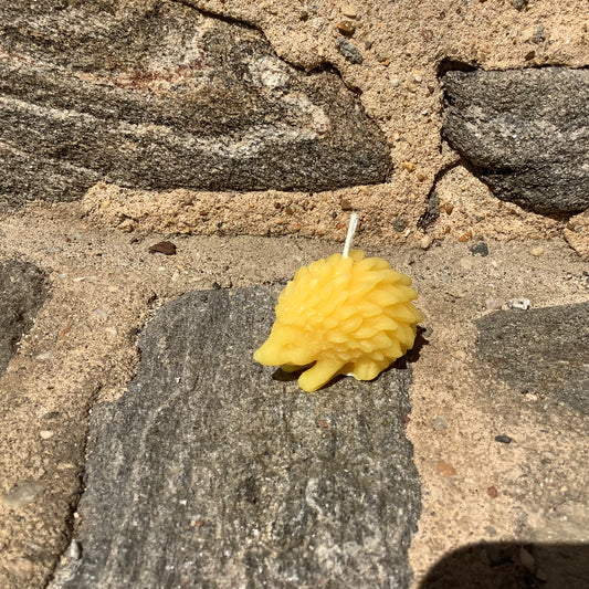 Beeswax hedgehog By Sawdust Siren