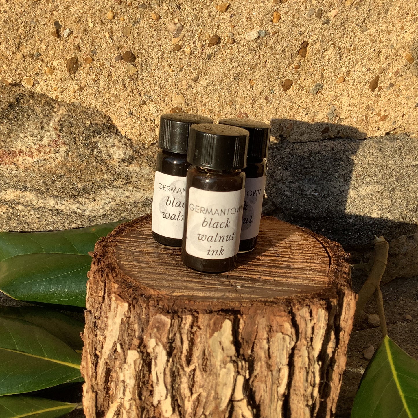 Botanical Ink From Indigo In Green