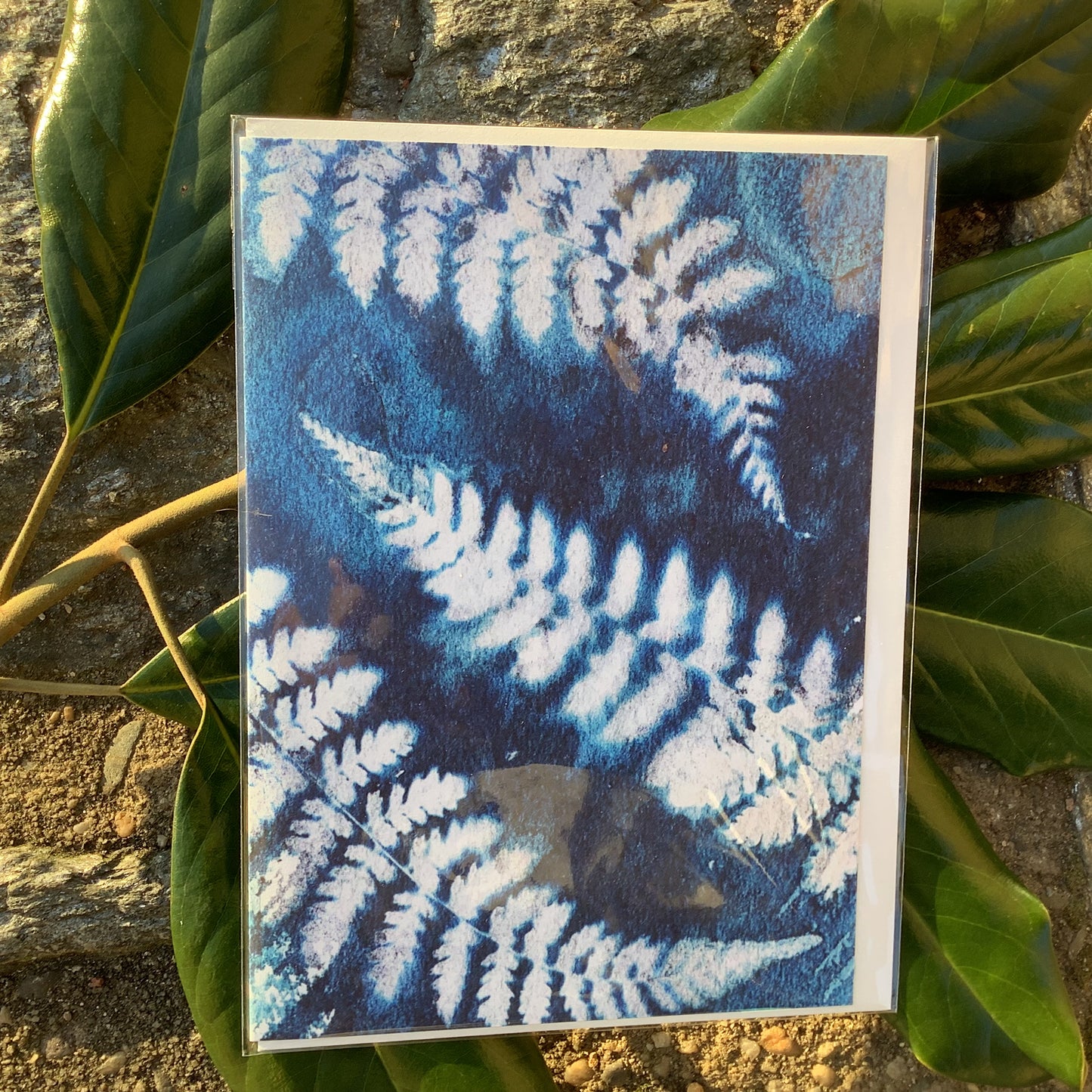 Notecards By Carolyn Brandt