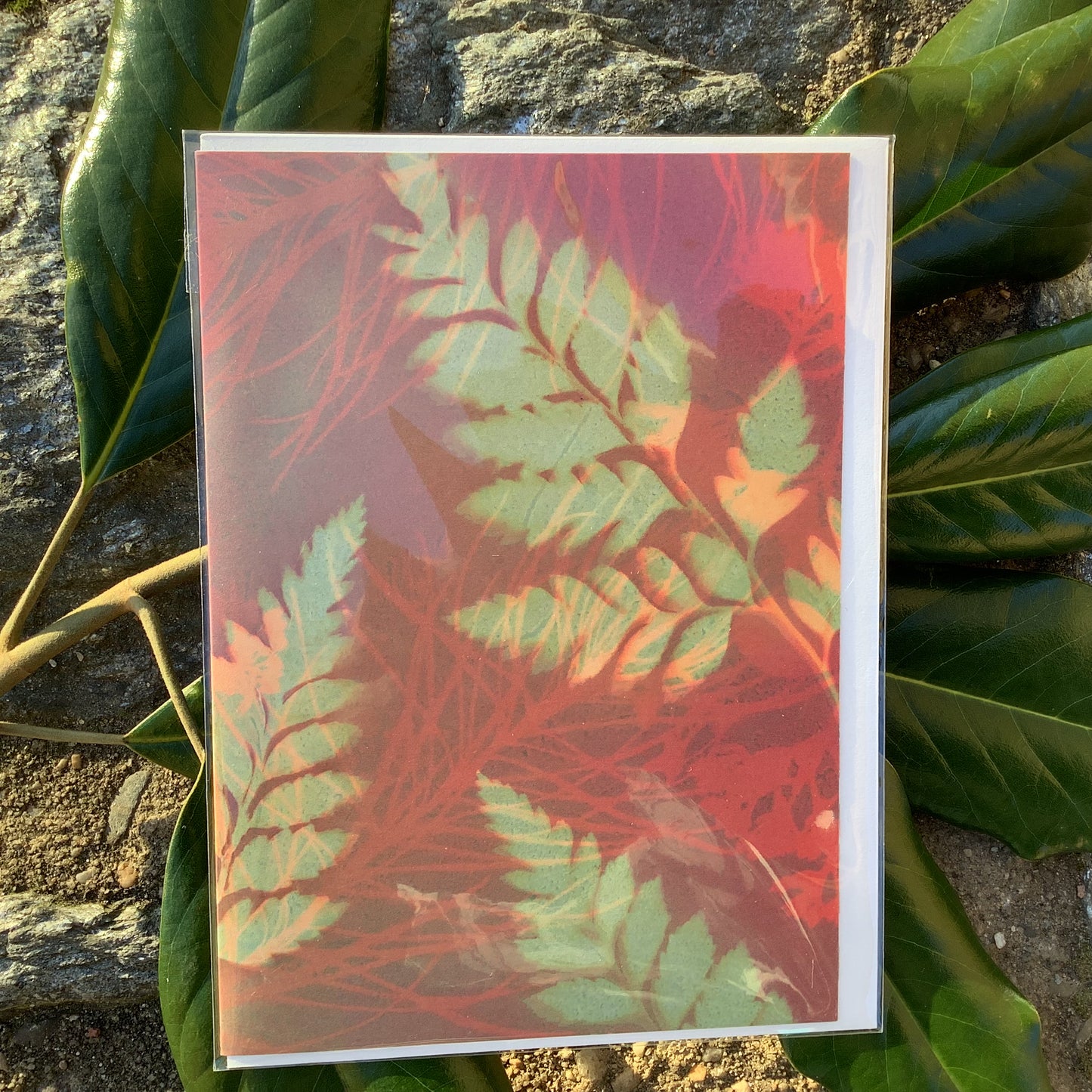 Notecards By Carolyn Brandt
