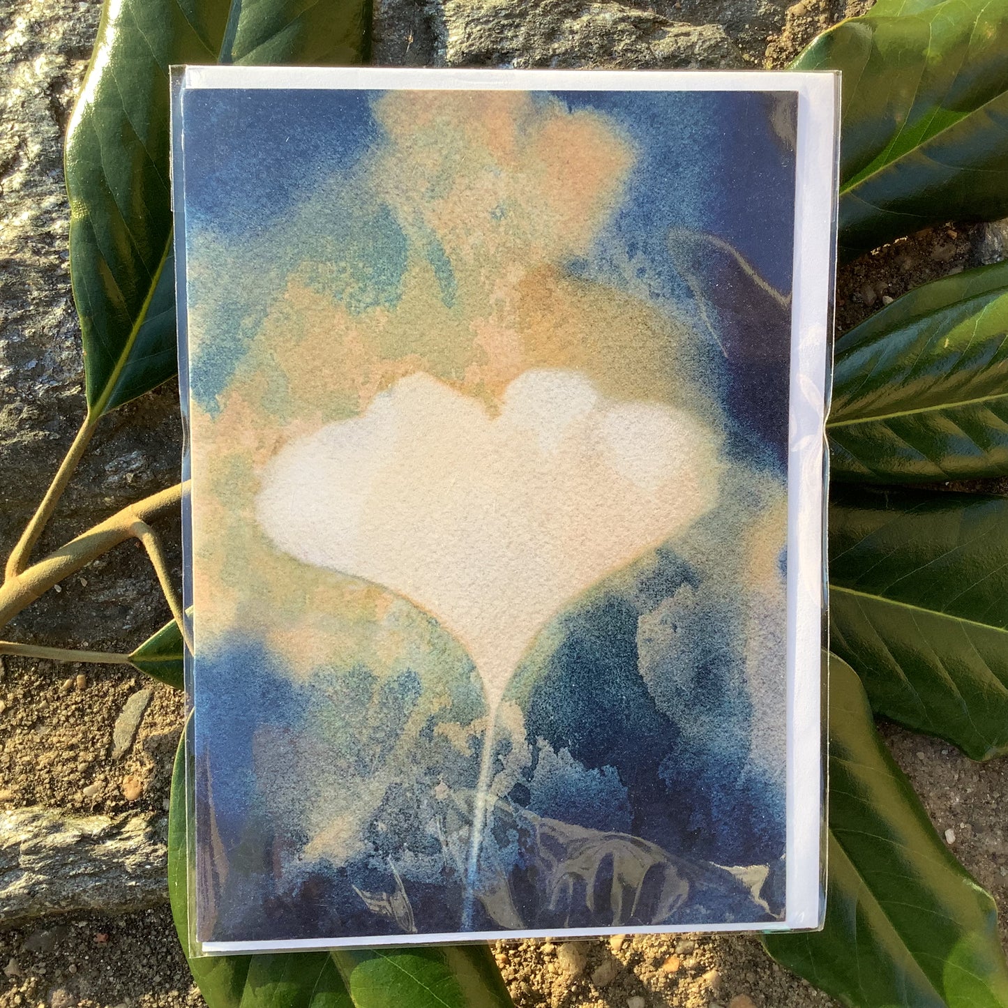 Notecards By Carolyn Brandt