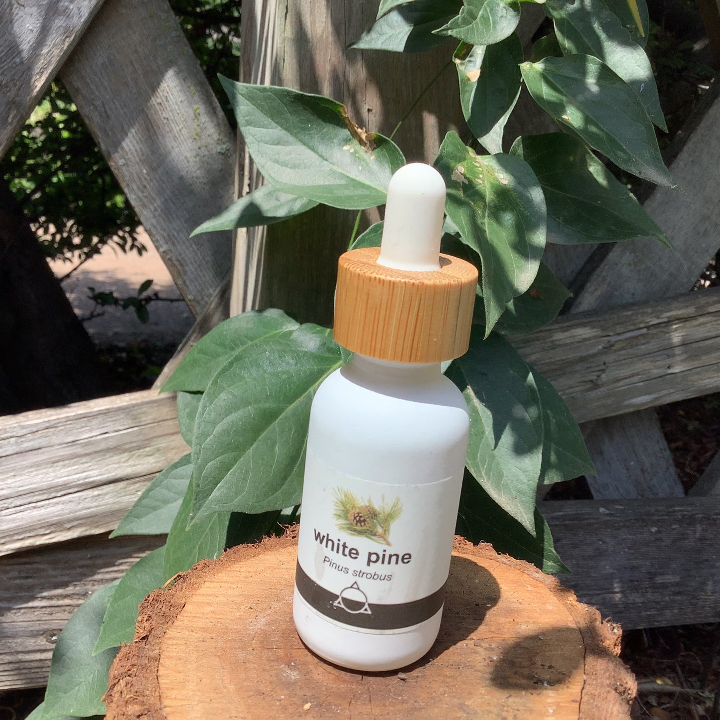 Herbal Tinctures by odabu