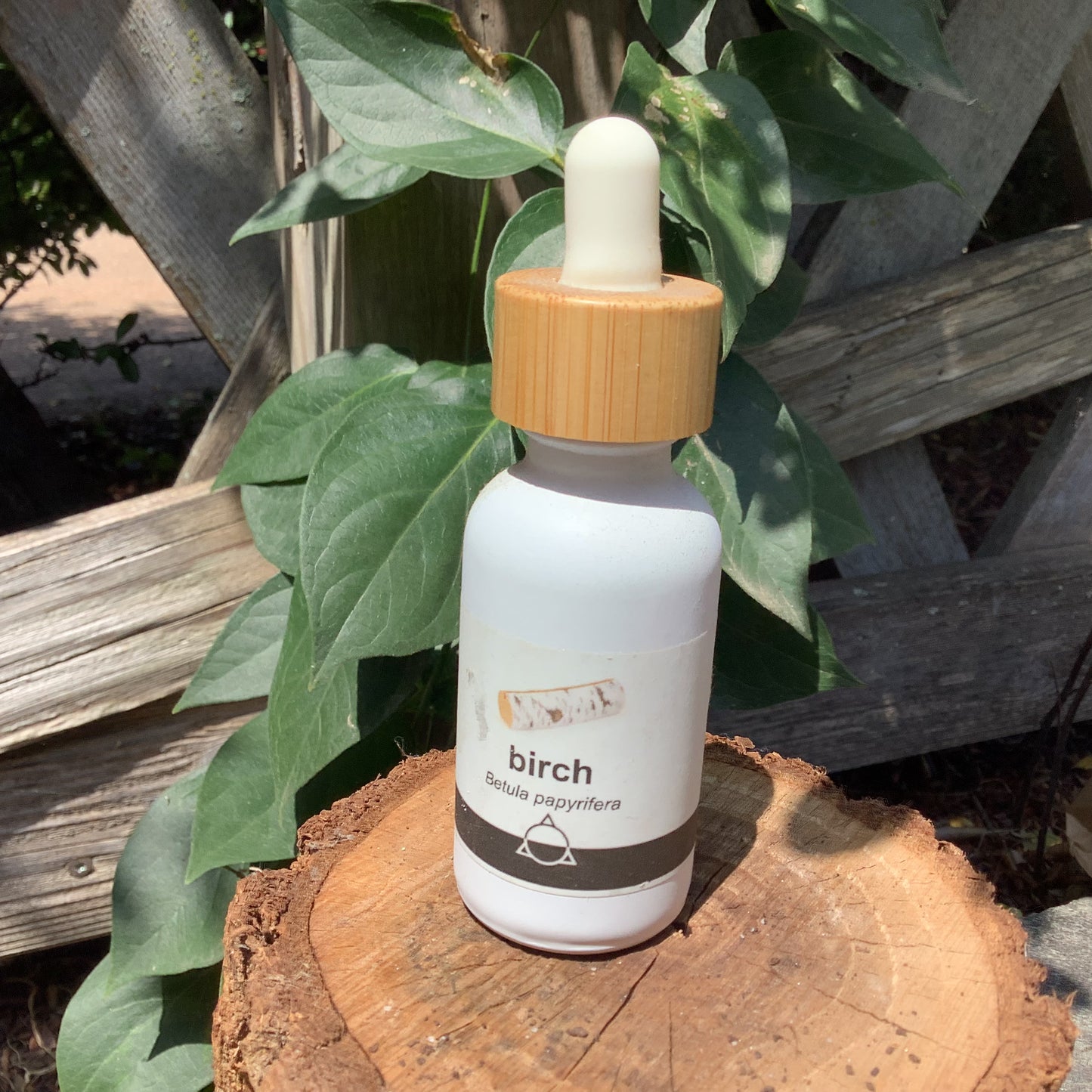 Herbal Tinctures by odabu