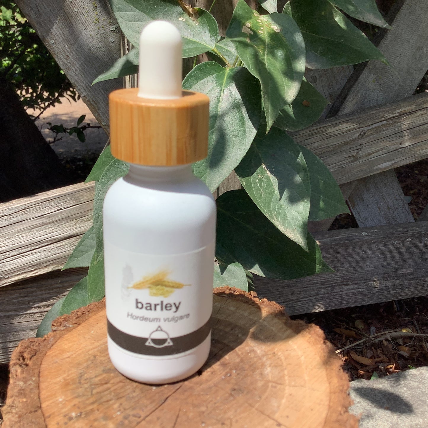 Herbal Tinctures by odabu