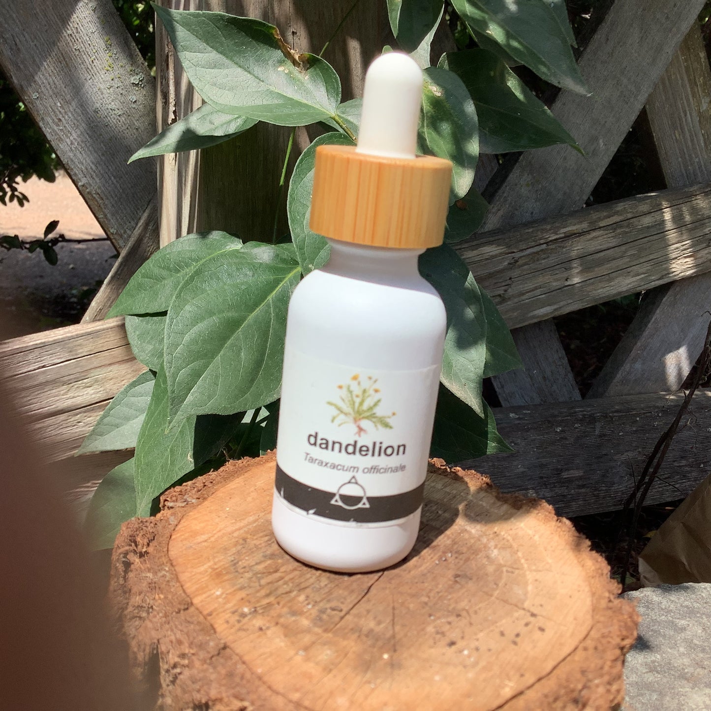 Herbal Tinctures by odabu