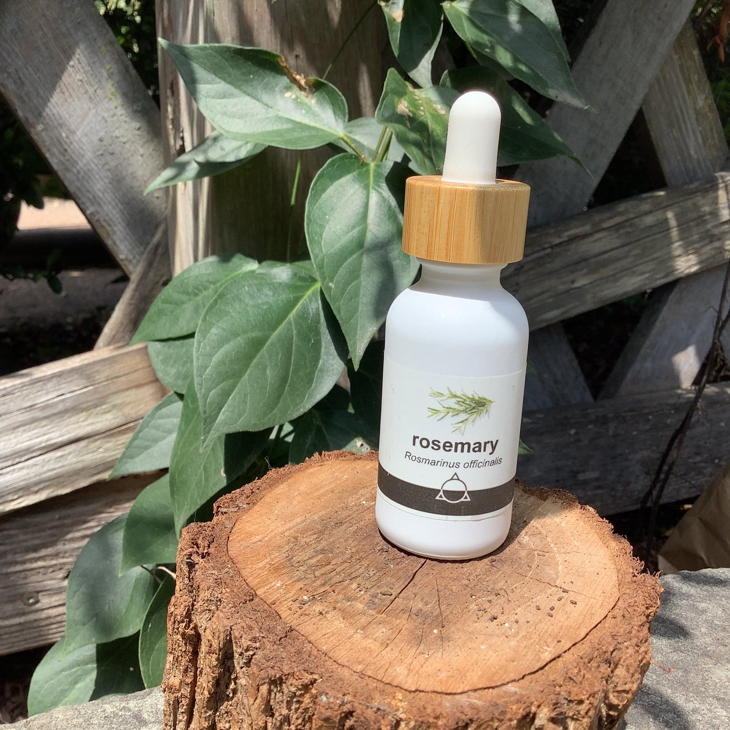 Herbal Tinctures by odabu