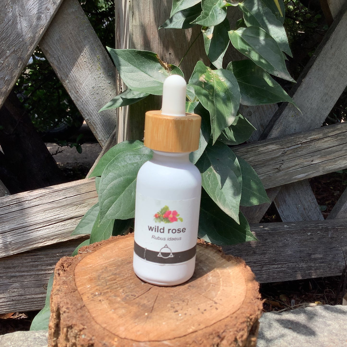 Herbal Tinctures by odabu