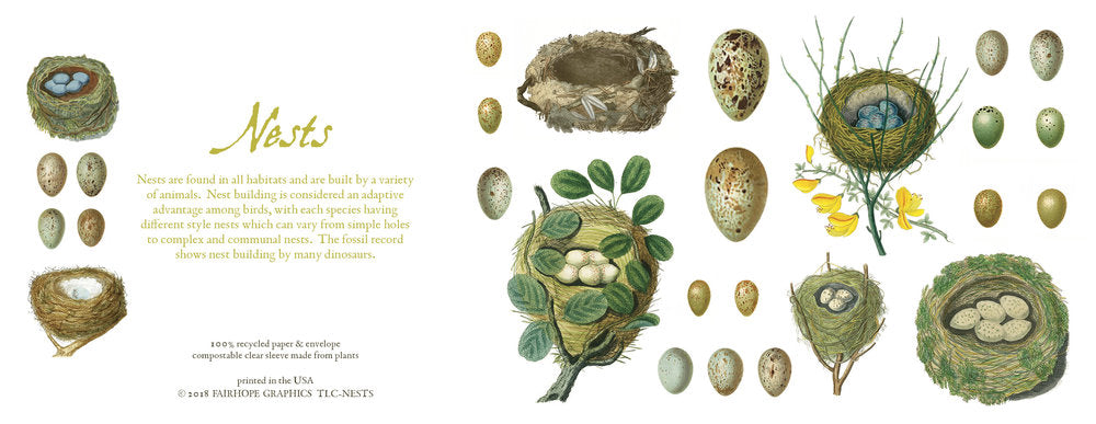 Notecards From Fairhope Graphics