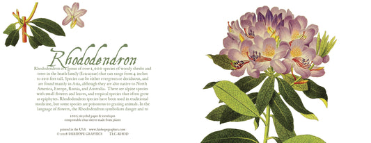 Notecards From Fairhope Graphics