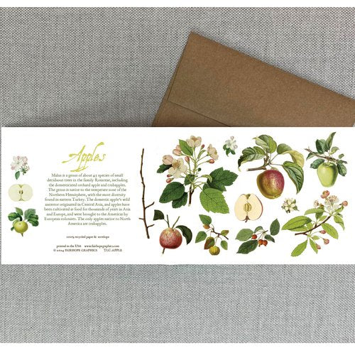 Notecards From Fairhope Graphics