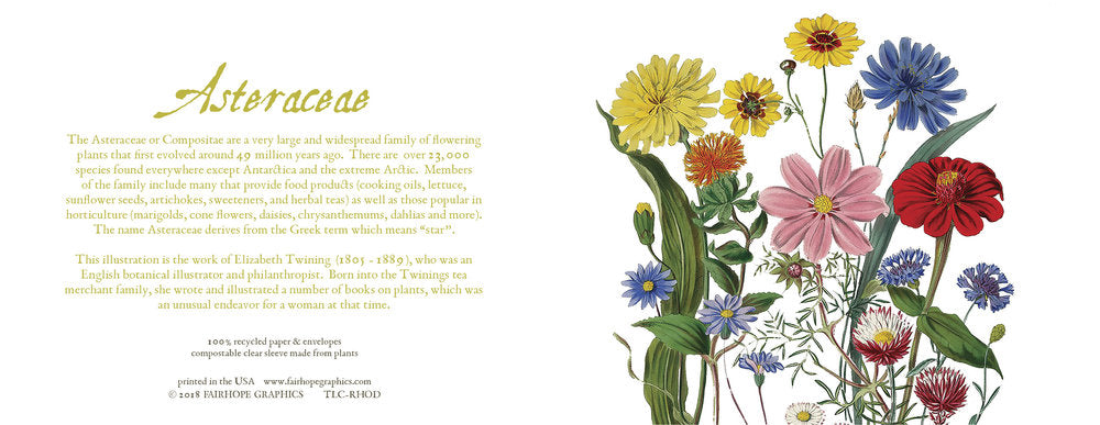 Notecards From Fairhope Graphics
