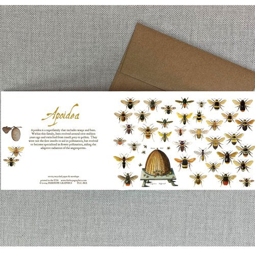 Notecards From Fairhope Graphics