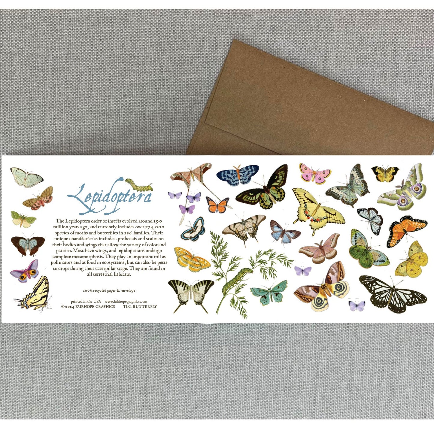 Notecards From Fairhope Graphics