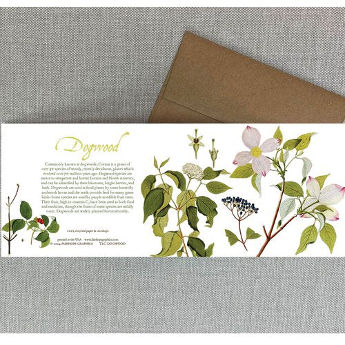Notecards From Fairhope Graphics