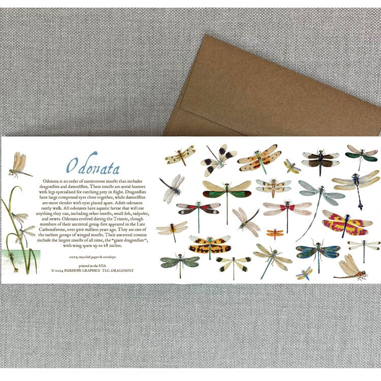 Notecards From Fairhope Graphics