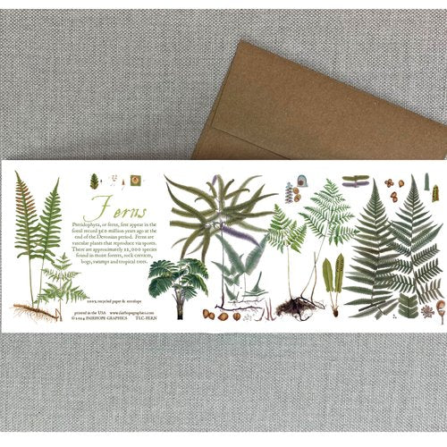 Notecards From Fairhope Graphics