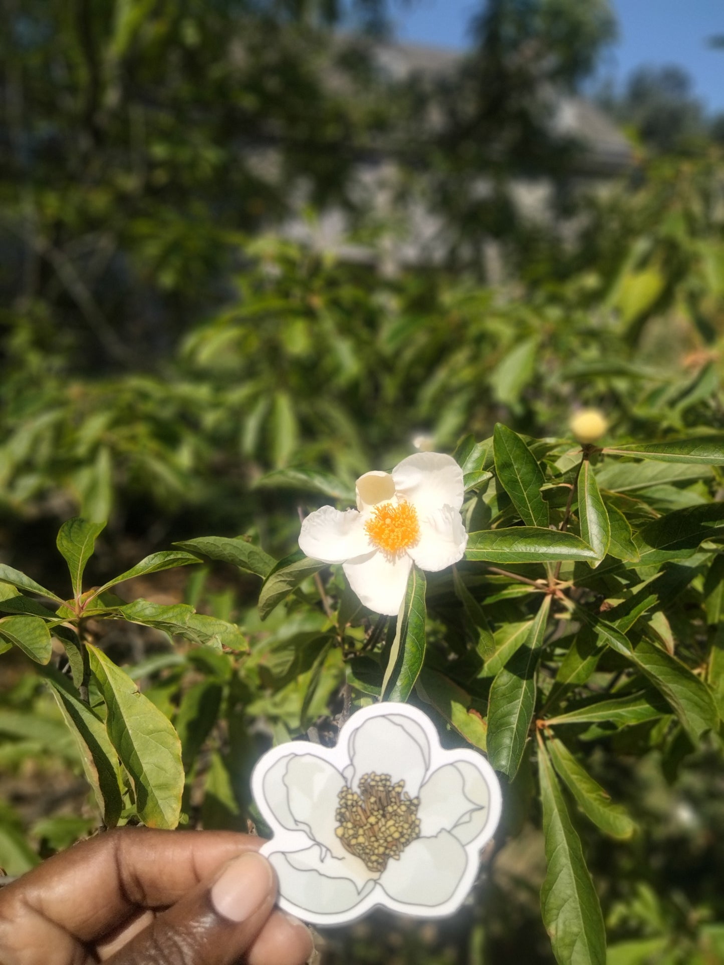 Bartram's Garden Sticker Pack From G + Rizz