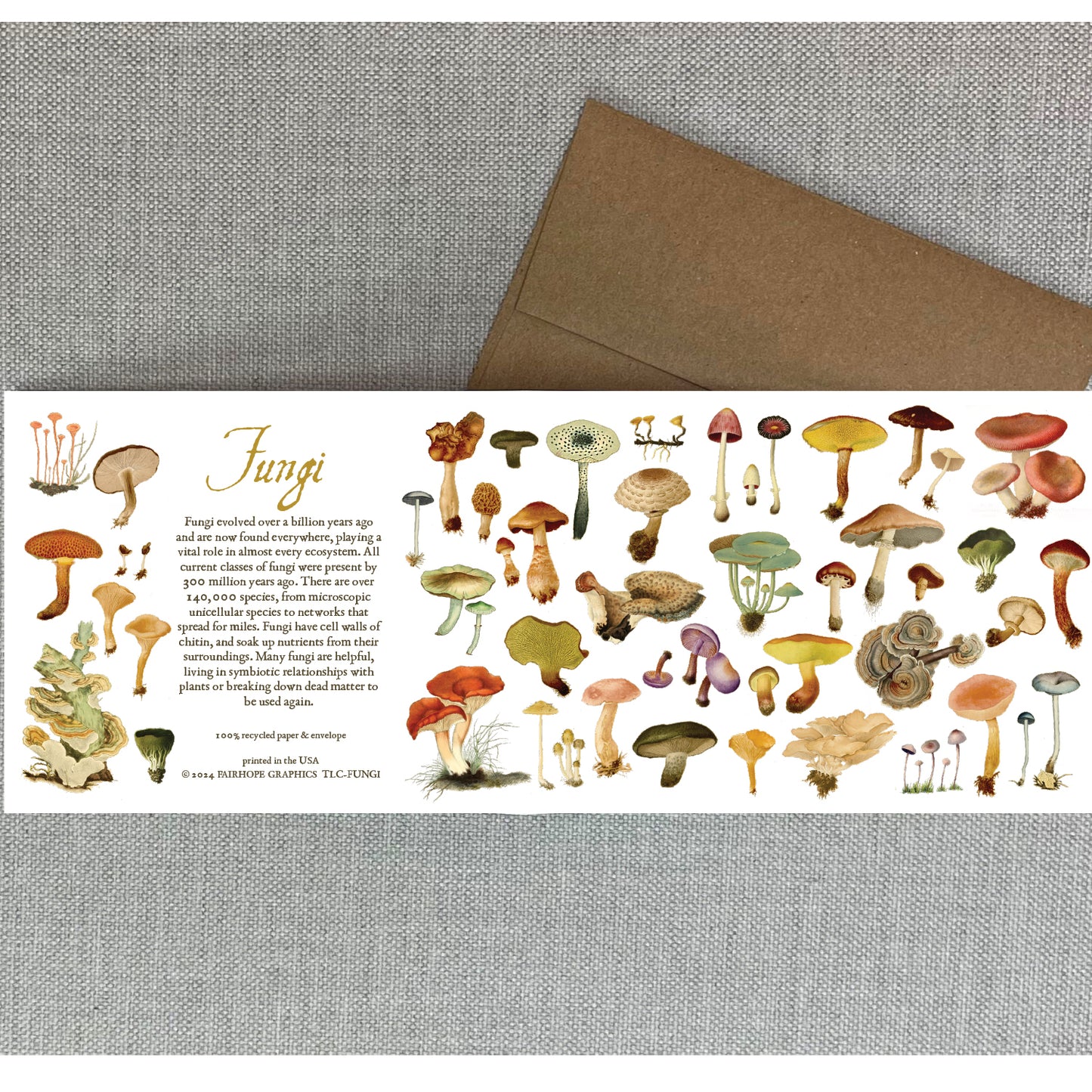 Notecards From Fairhope Graphics