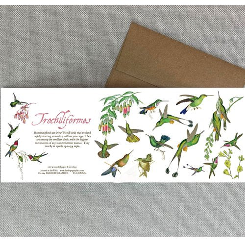 Notecards From Fairhope Graphics