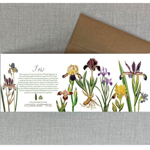 Notecards From Fairhope Graphics
