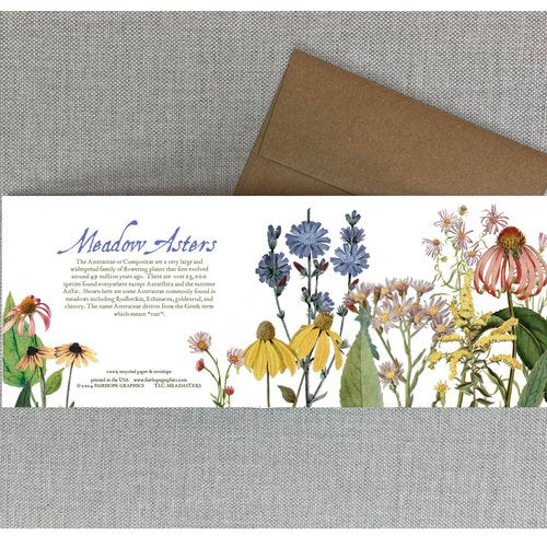 Notecards From Fairhope Graphics