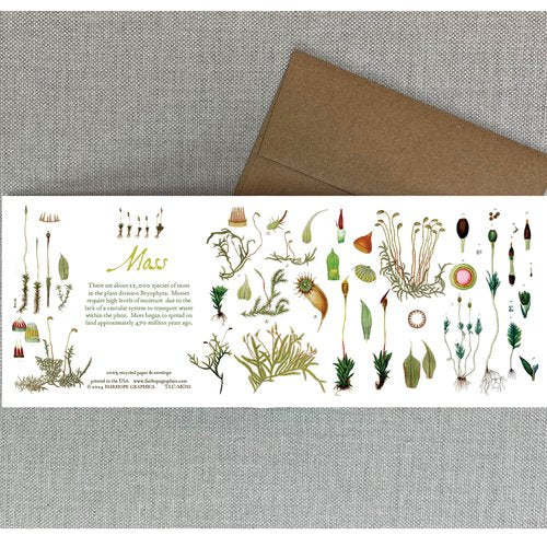 Notecards From Fairhope Graphics