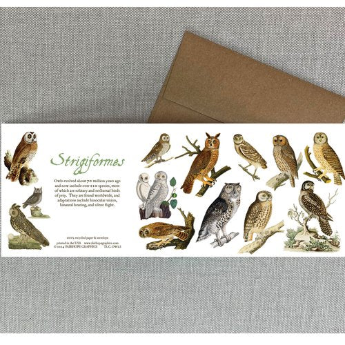 Notecards From Fairhope Graphics