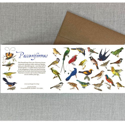 Notecards From Fairhope Graphics