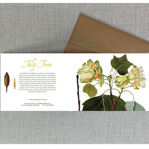 Notecards From Fairhope Graphics