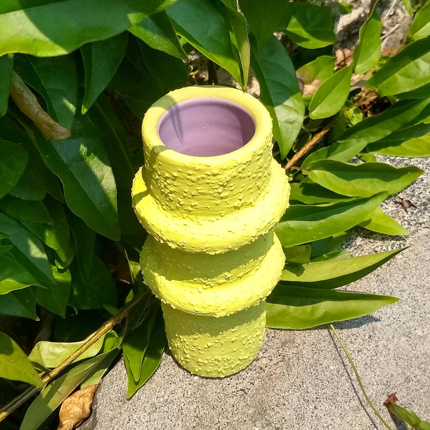Bud Vases from Kenni Field