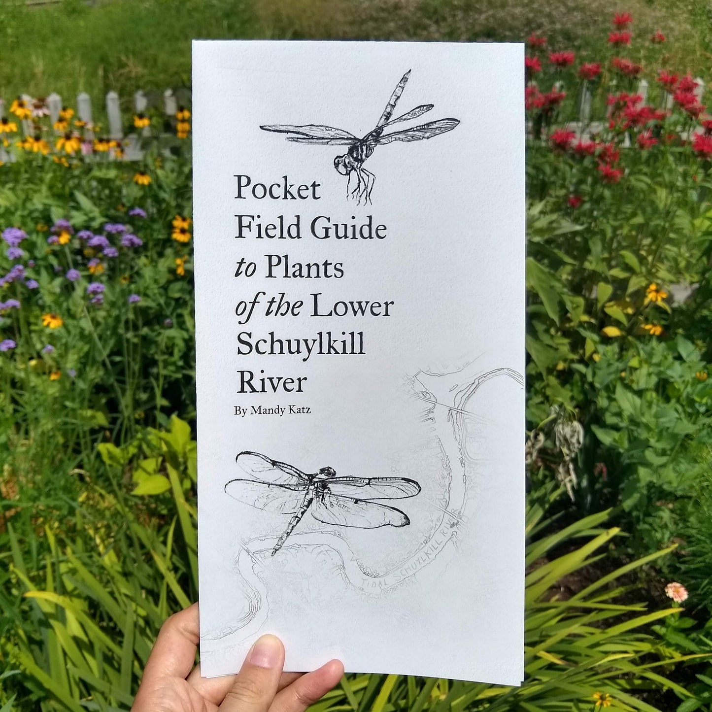 Pocket Field Guide to Plants of the Lower Schuylkill River from Mandy Katz
