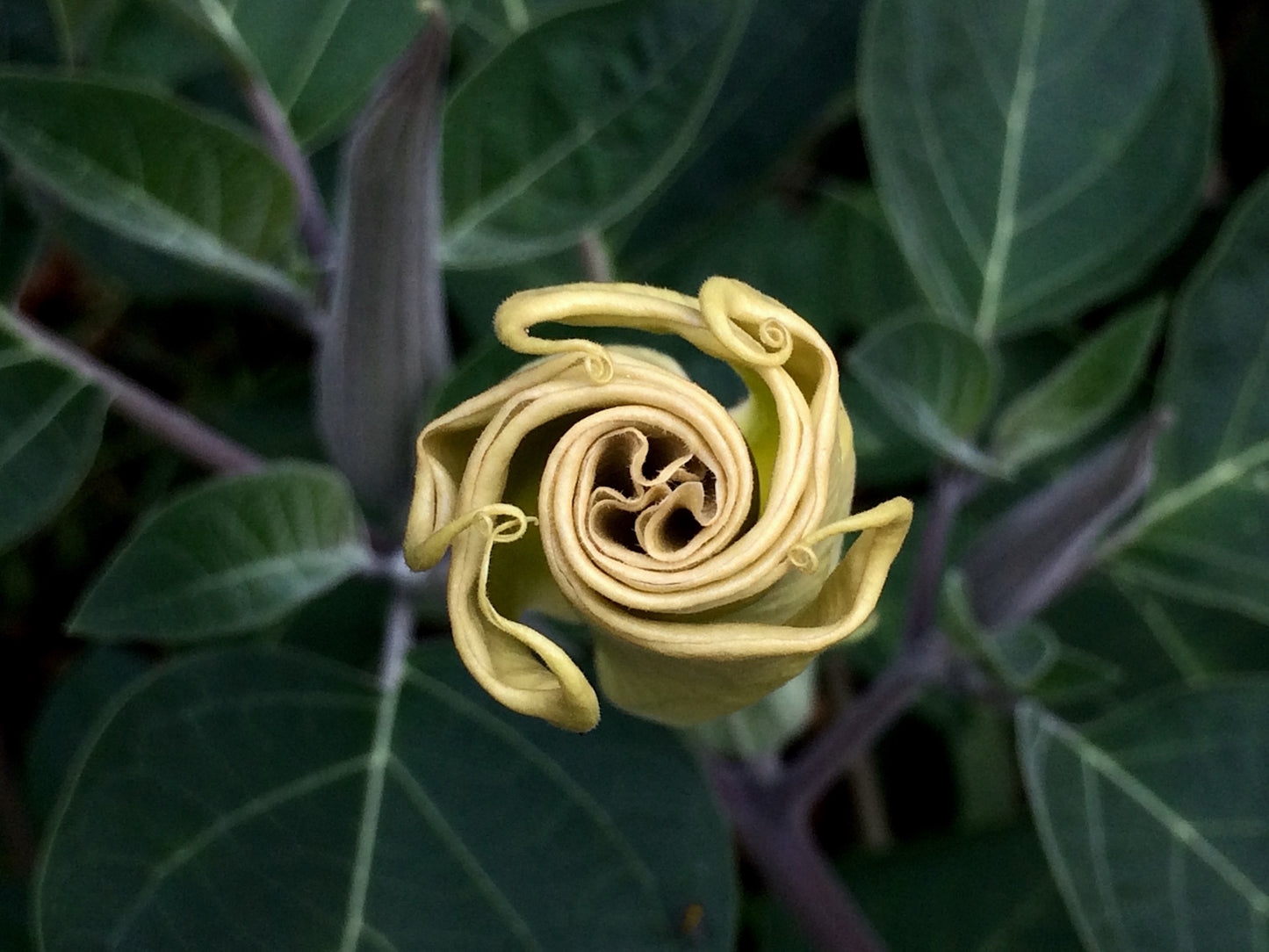 Photographs by Ryan Hogan