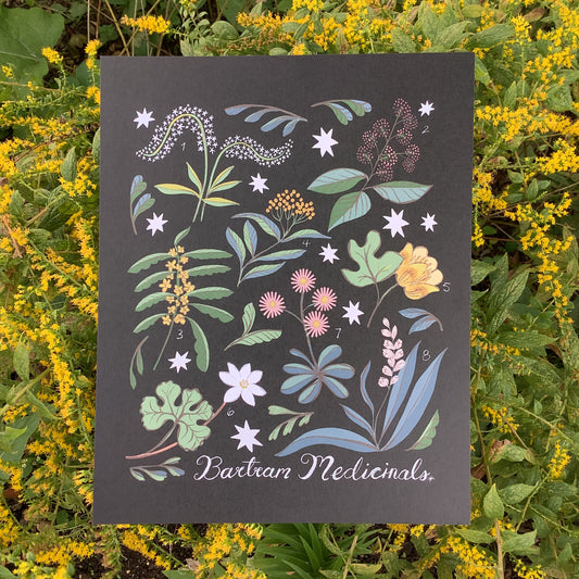 Bartram Medicinal Print from Serena Niesley