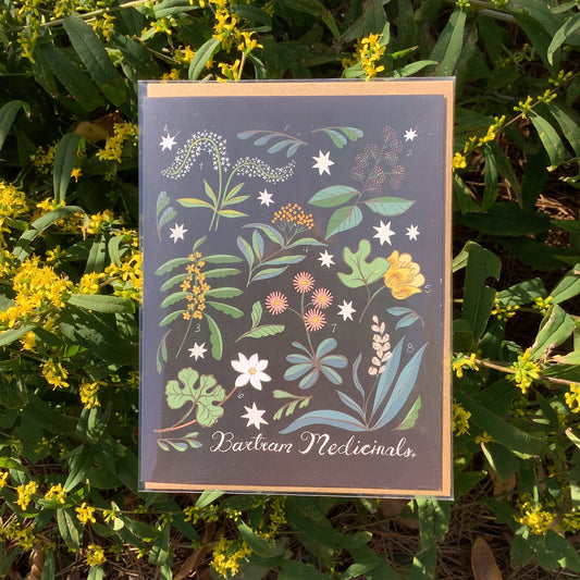 Bartram Medicinal Notecard from Serena Niesley