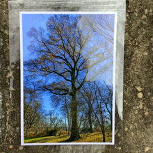 Load image into Gallery viewer, Photography From Robert G. Smith-5&quot;x7&quot;
