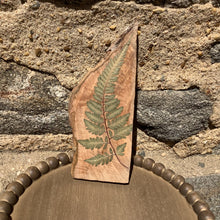 Load image into Gallery viewer, Botanical Wall Hanging From Sawdust Siren
