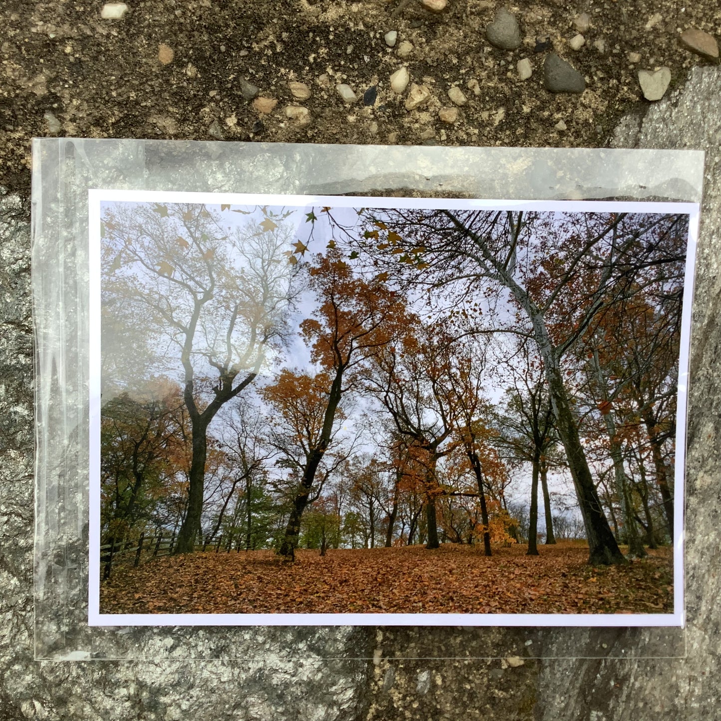 Photography From Robert G. Smith-5"x7"