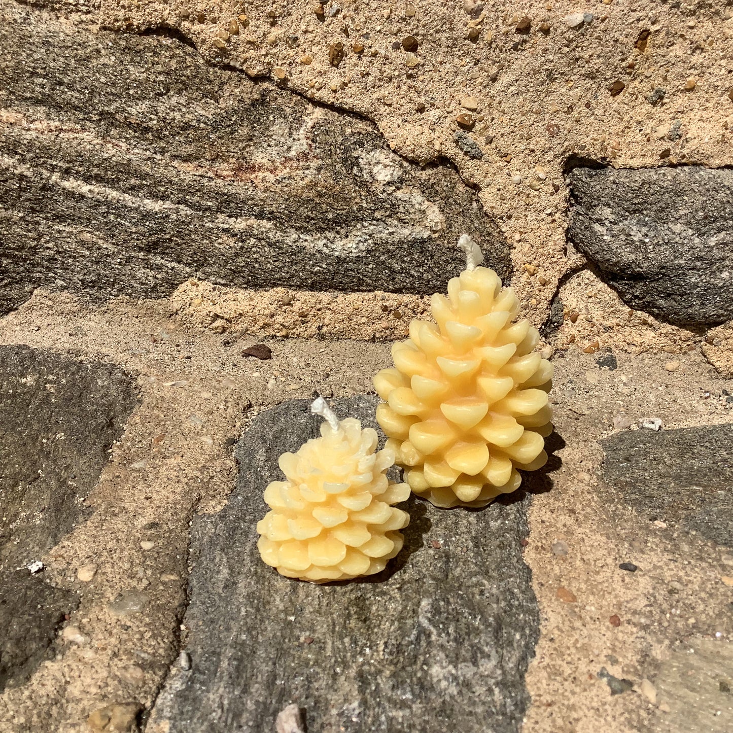 Beeswax Pinecone Candle by Sawdust Siren