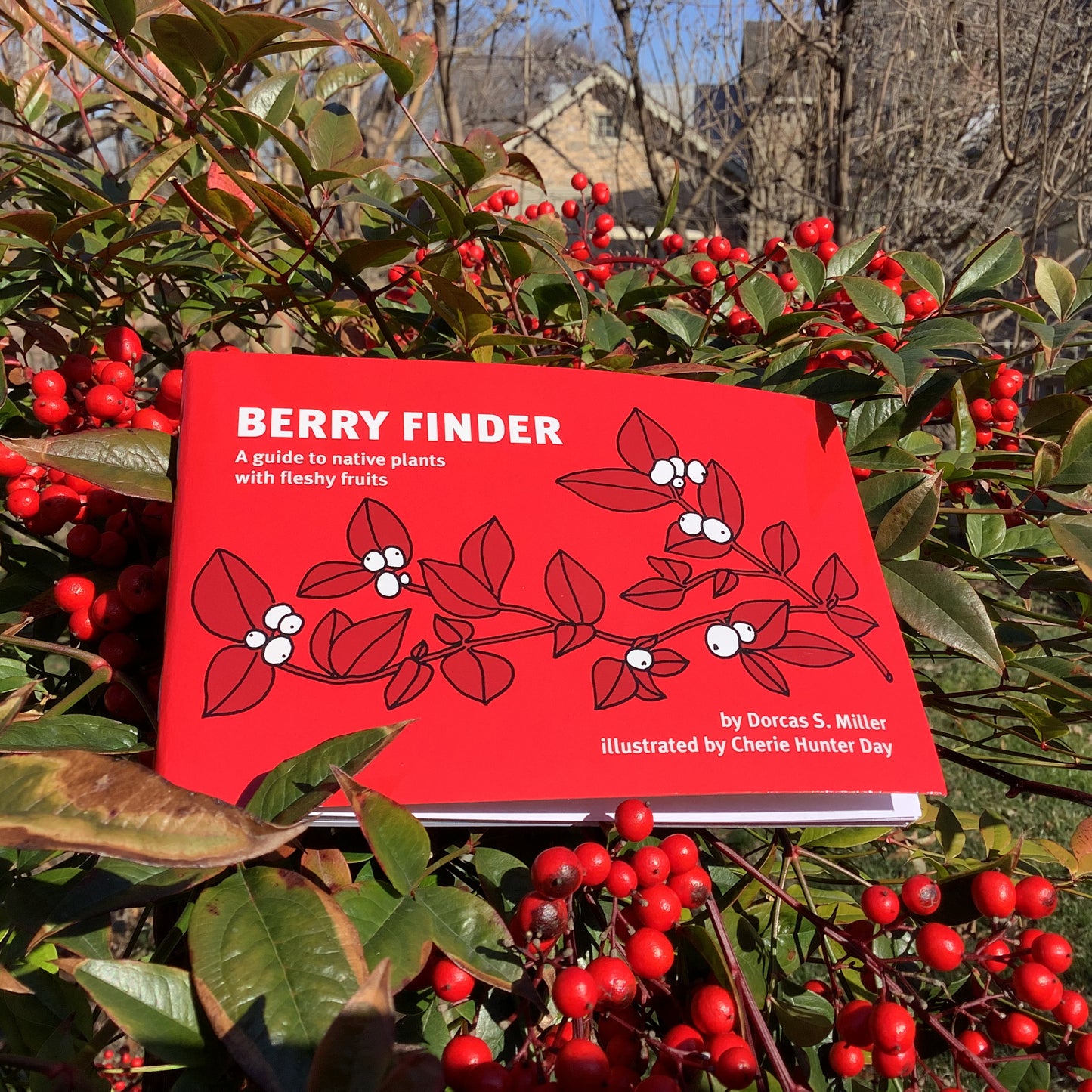 Berry Finder