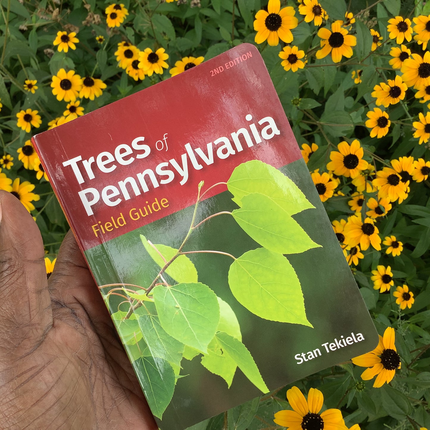 Trees Of Pennsylvania Field Guide