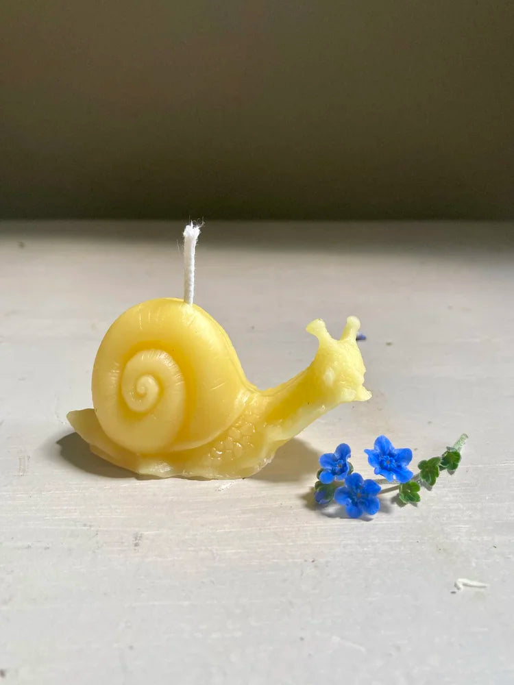 Beeswax Snail Candles From Sawdust Siren
