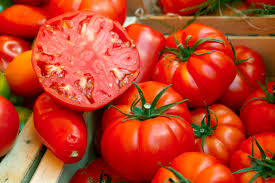 Solanum lycopersicum, super beefsteak tomato