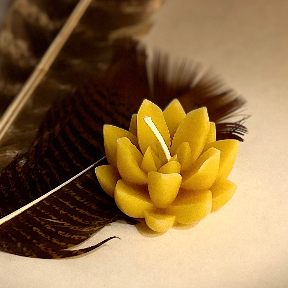 Candles From Anna Bee's Honey