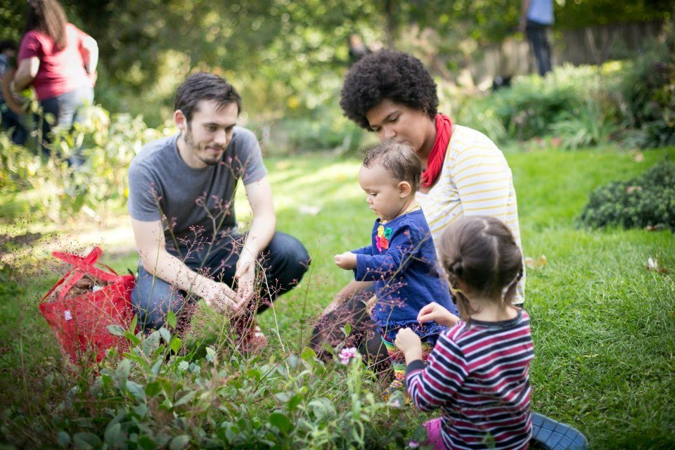 Seeds for Children's Garden