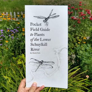 Pocket Field Guide to Plants of the Lower Schuylkill River from Mandy Katz