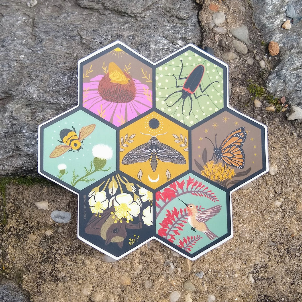 Endangered Pollinator Vinyl Sticker from Rachael Amber