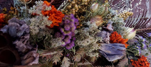 Bartram's Botanical Wreath: Sea Oats