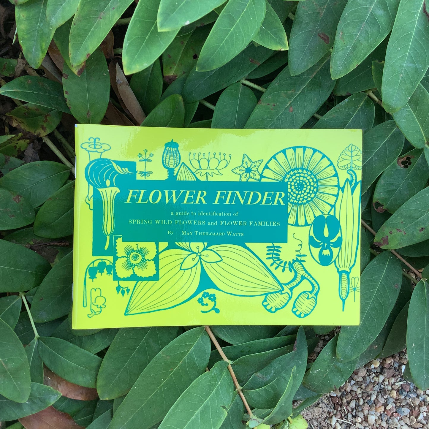 Flower Finder