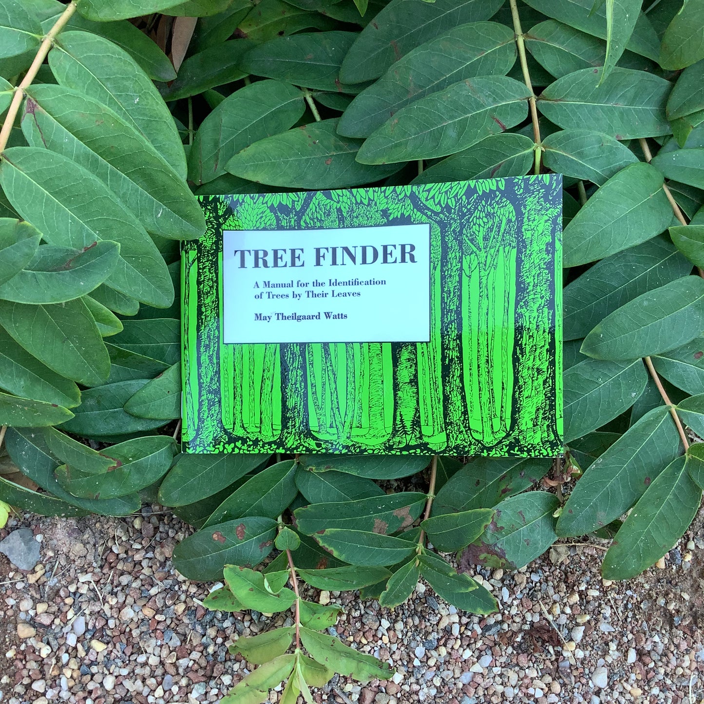 Tree Finder